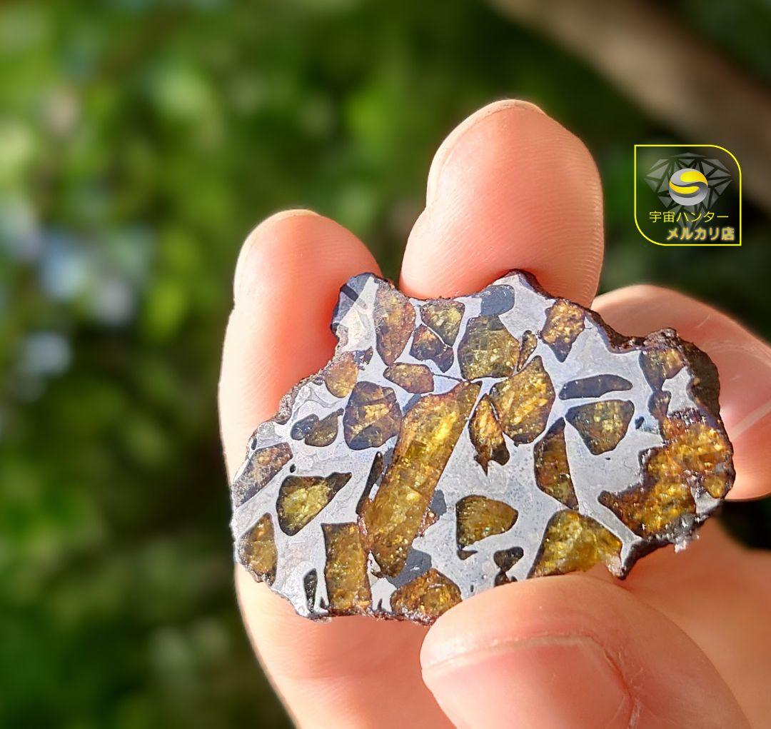 ⭐️11.3g イミラック パラサイト 隕石 Imilac