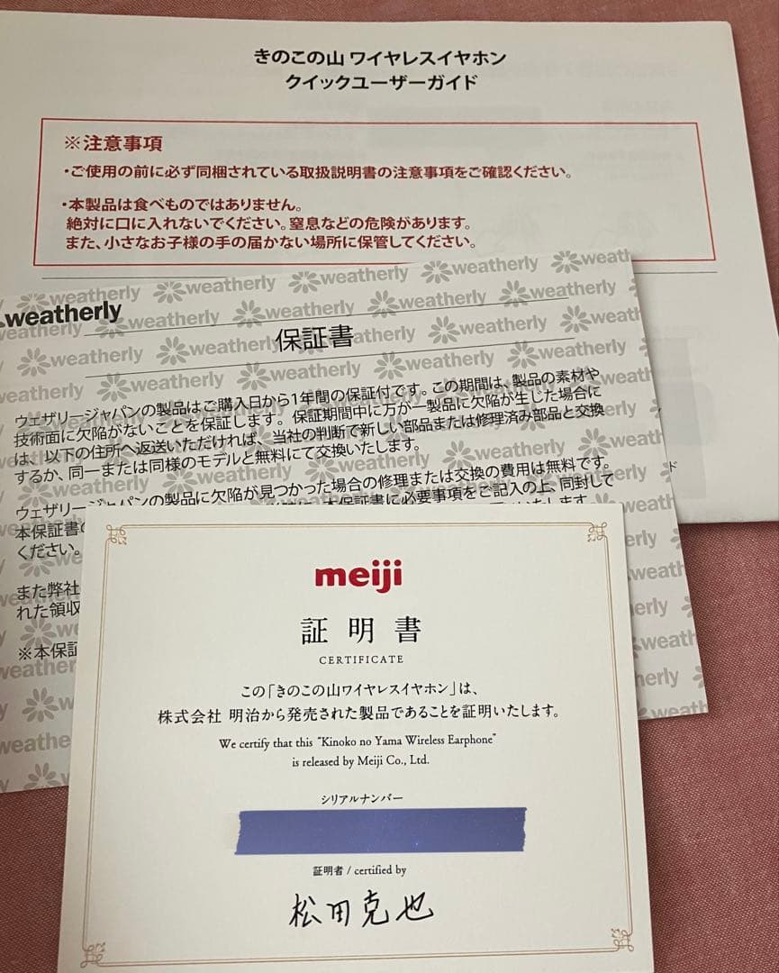 きのこの山 ワイヤレスイヤホン 144言語同時翻訳機能付き