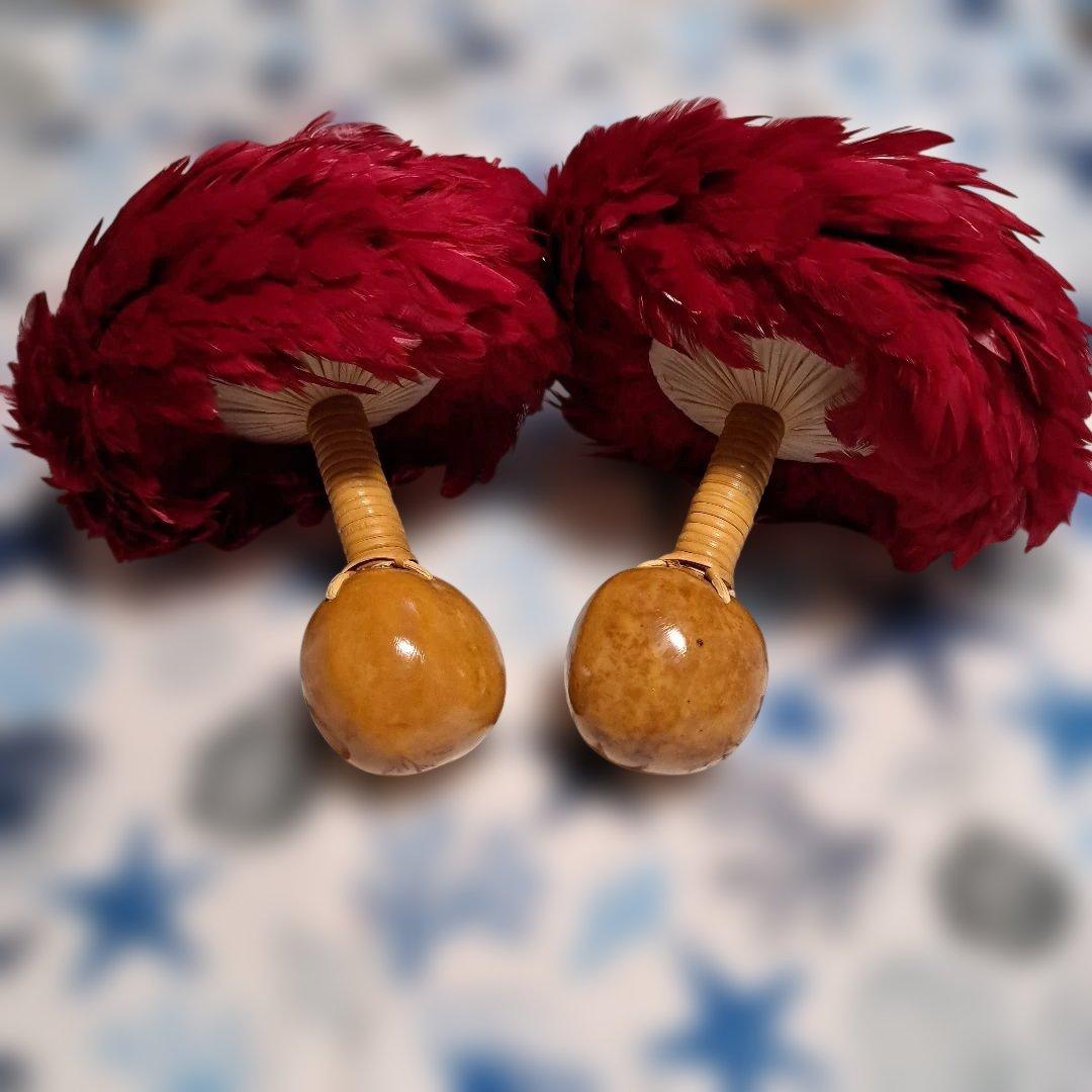 ウリウリ　ケース付　フラダンス