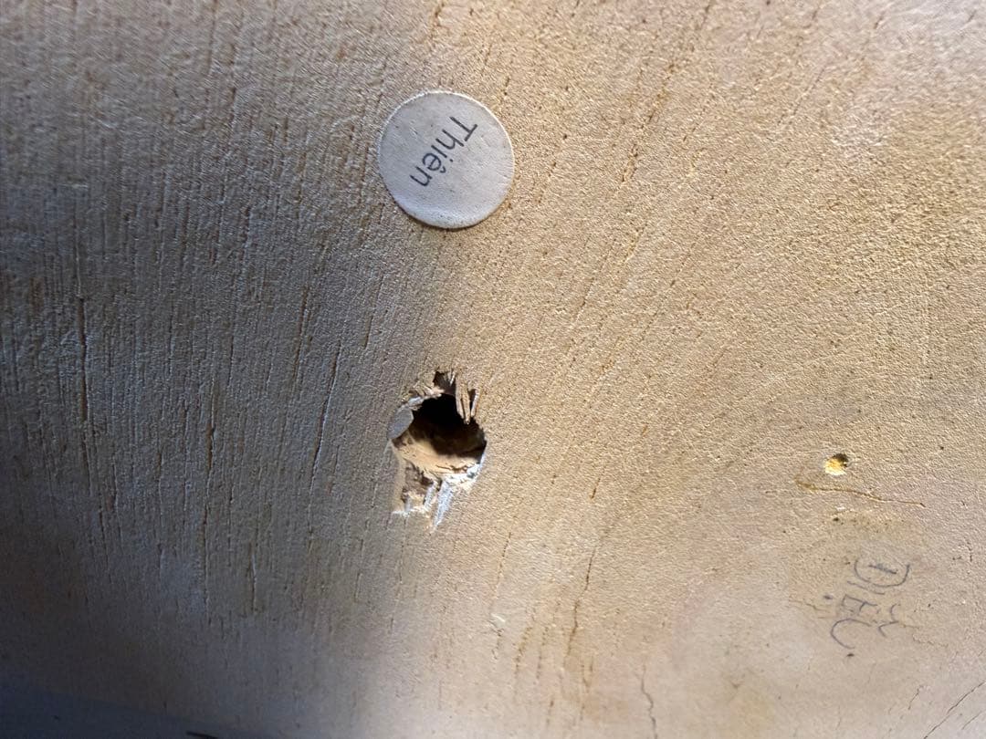 業務用 FRP製 レディース 上半身マネキン トルソー 白