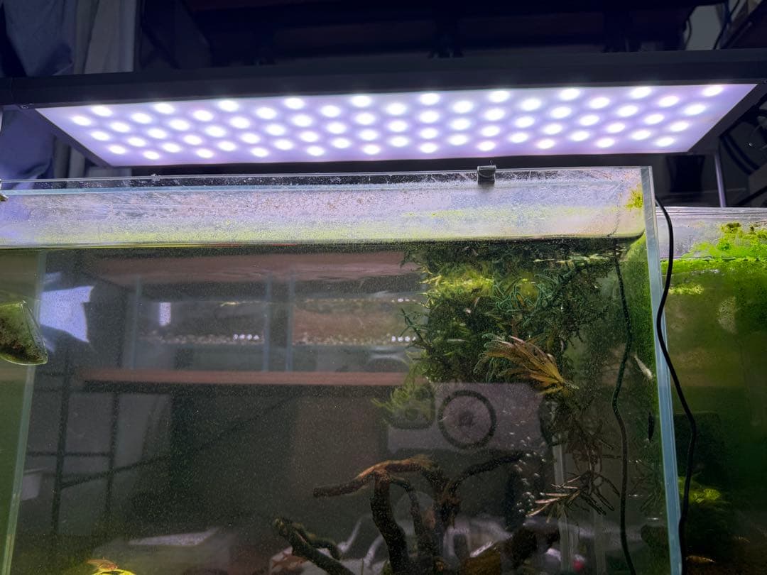 ADA アクアスカイ RGB II 60 水槽用照明