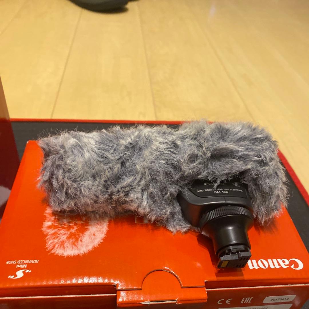 Canon ivis HF G20 64gbメモリーカード、マイク付き