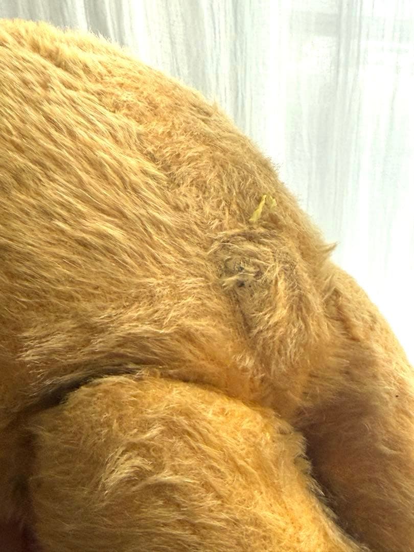 イギリス ロンドン アンティークベア グロウラーあり