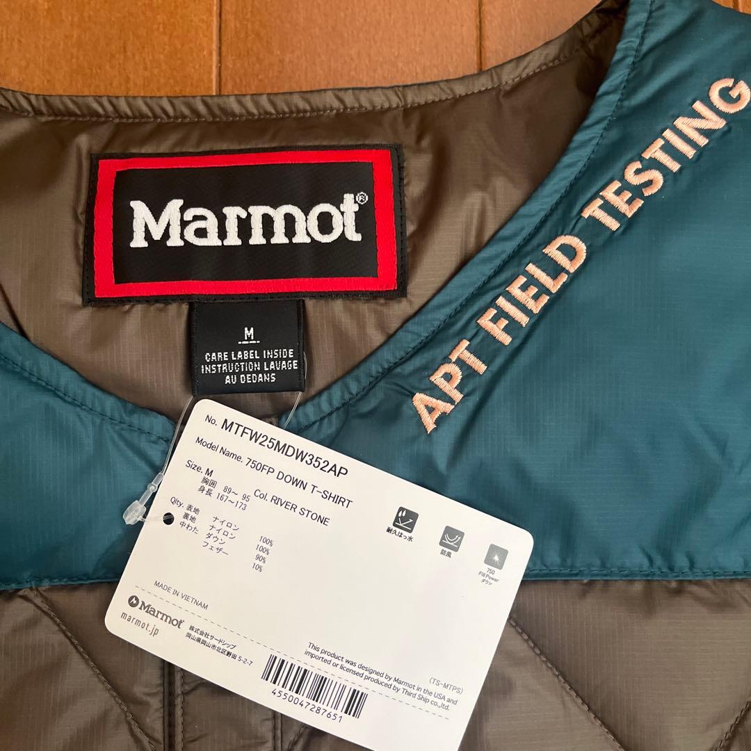 STABRIDGE × Marmot DOWN T-SHIRT M 新品未使用