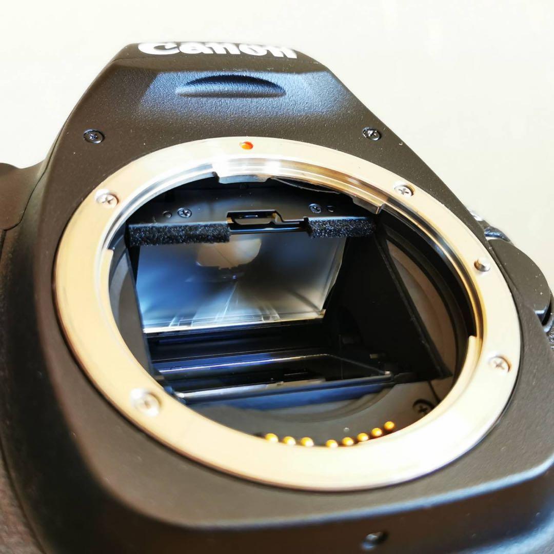 Canon EOS 5D Mark II （中古）充電器無し
