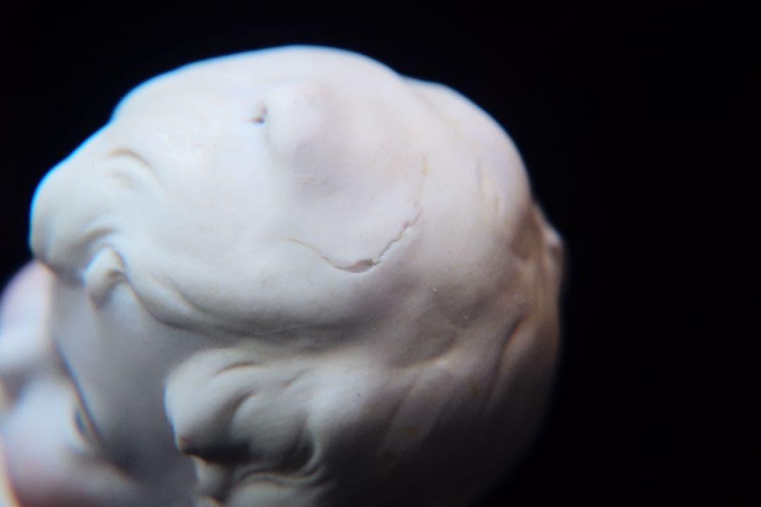 オールビスク ビスクドール ミニョネット アンティーク hertwig