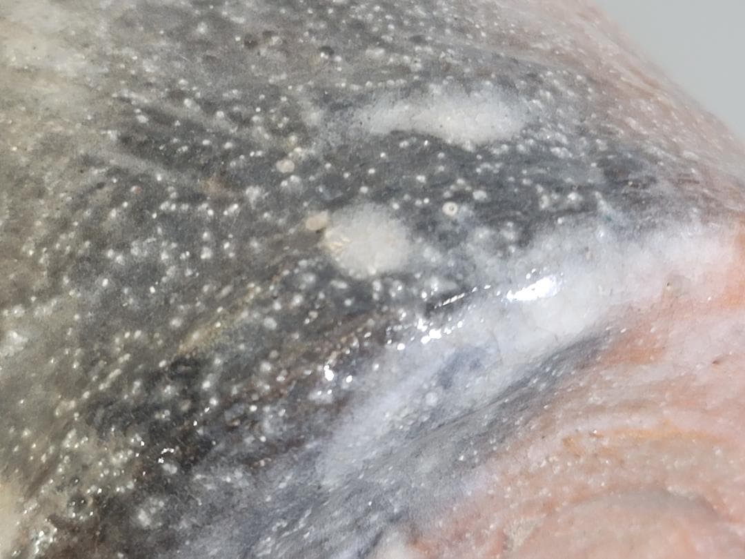 古美術 茶道 小川長楽造 赤楽 水指 在印 保証 DT156