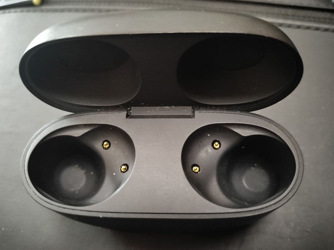 SONY wf-1000xm5 イヤホンケース ブラック