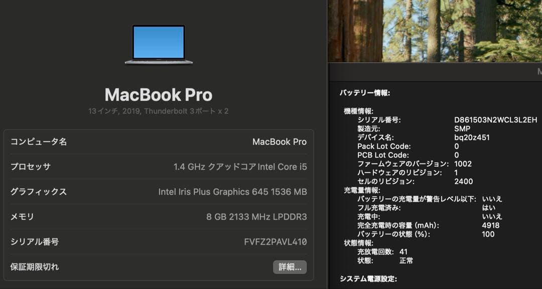 Apple MacBookPro 13インチ 256GB 2019 美品