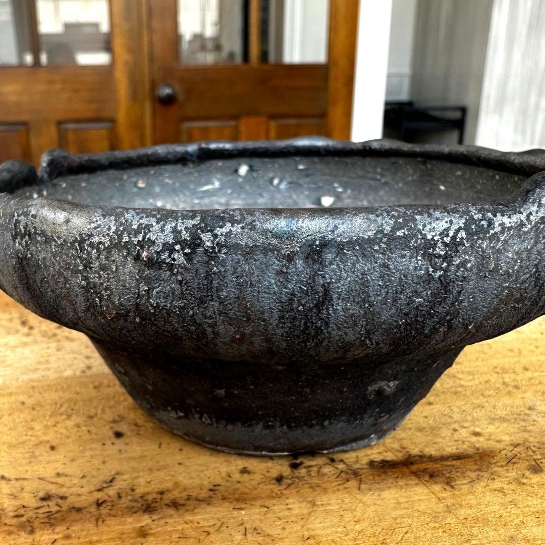 【激レア】　細川政己　鉢　浅鉢　グラキリス