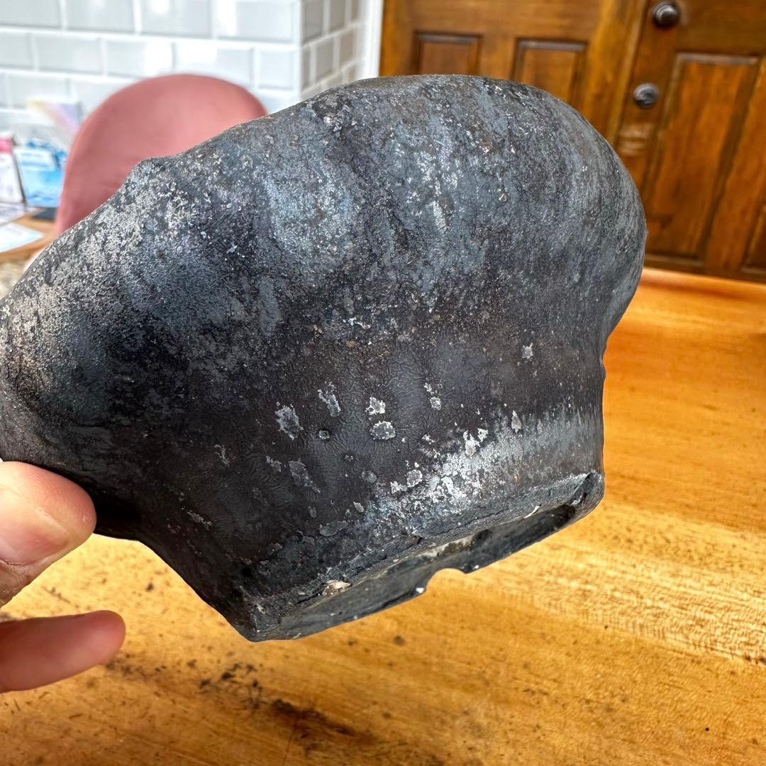 【激レア】　細川政己　鉢　浅鉢　グラキリス