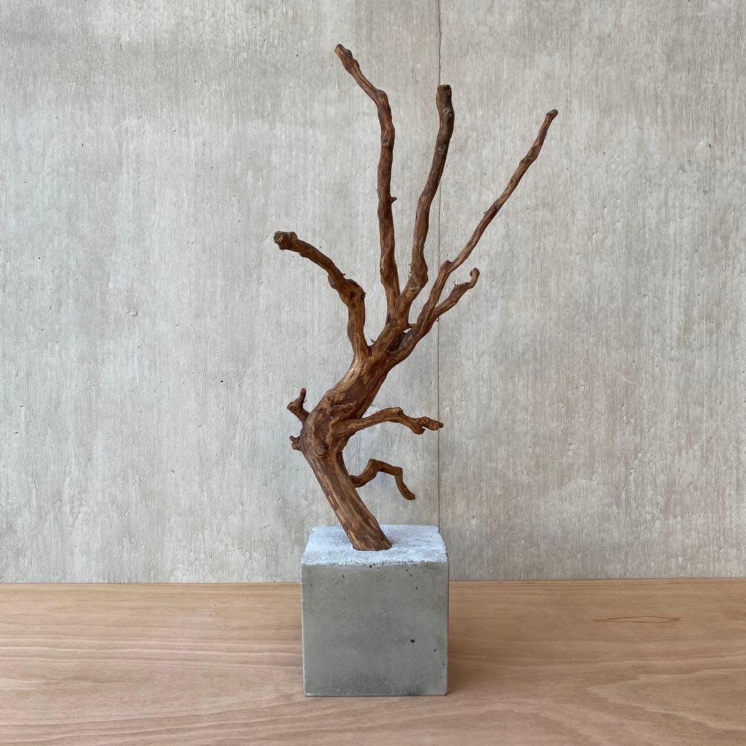 ❹【コンクリート盆栽 流木オブジェ】アクセサリー インテリア アート 爬虫類