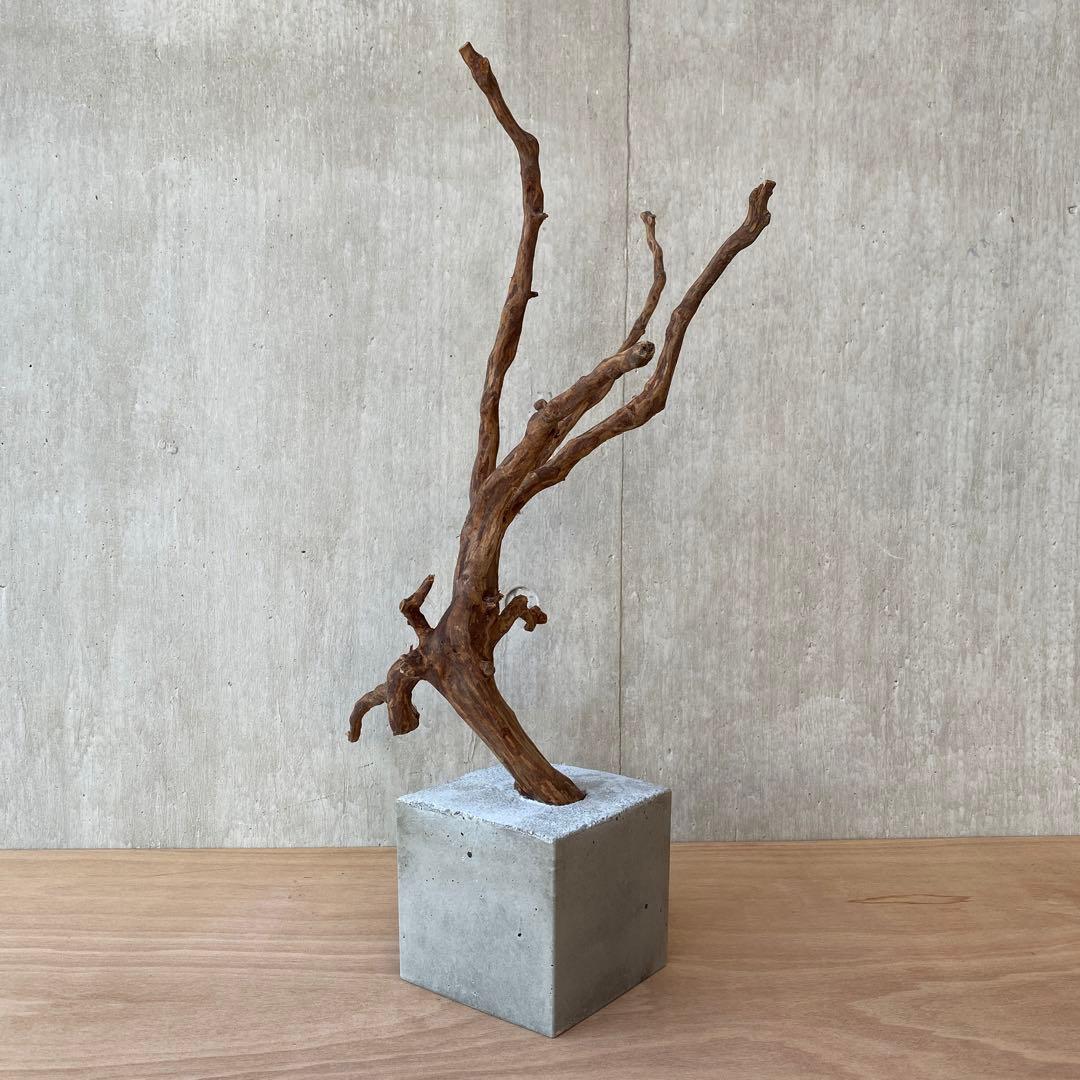 ❹【コンクリート盆栽 流木オブジェ】アクセサリー インテリア アート 爬虫類