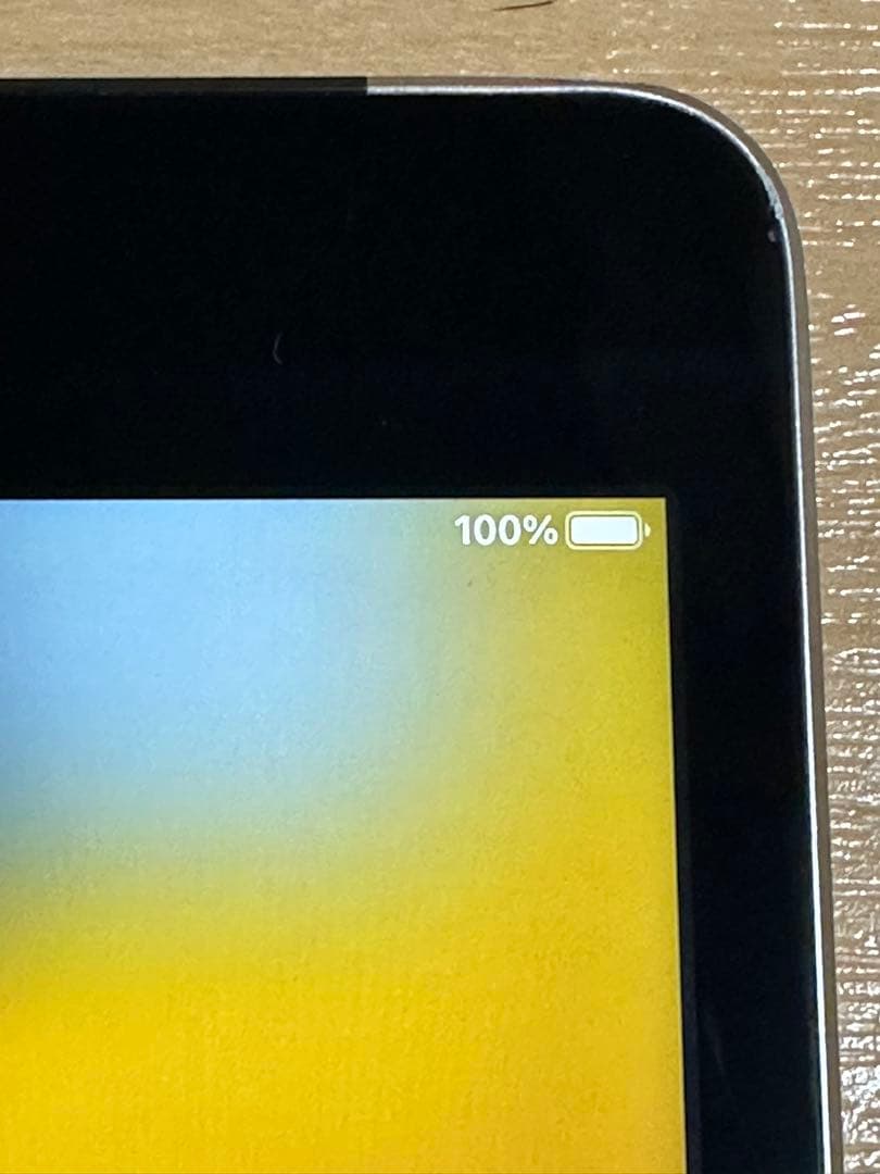 iPad本体 iPad mini 4 Wi-Fi+Cellular 64GB A1550