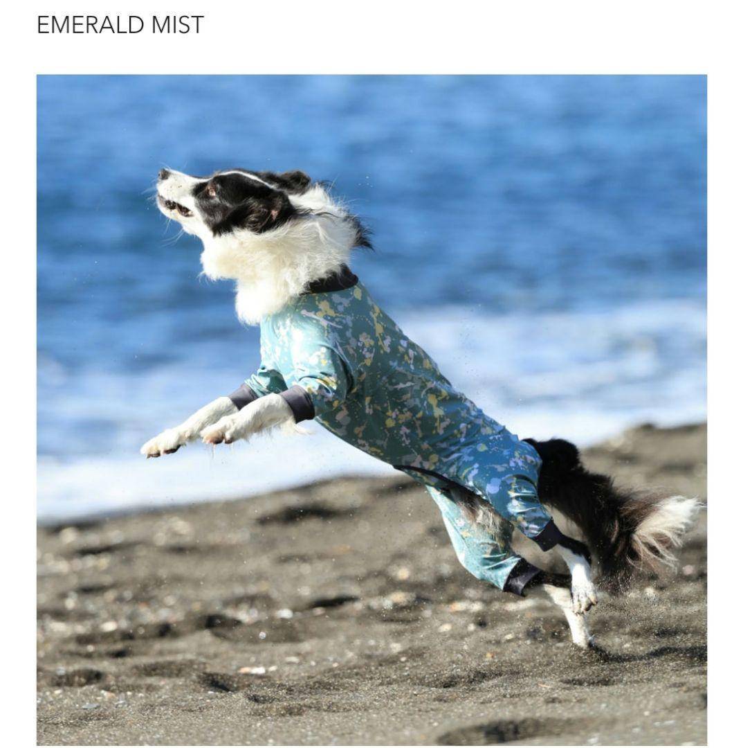 1回着用⭐ALPHAICON⭐アルファアイコン⭐フルドッグガード⭐S