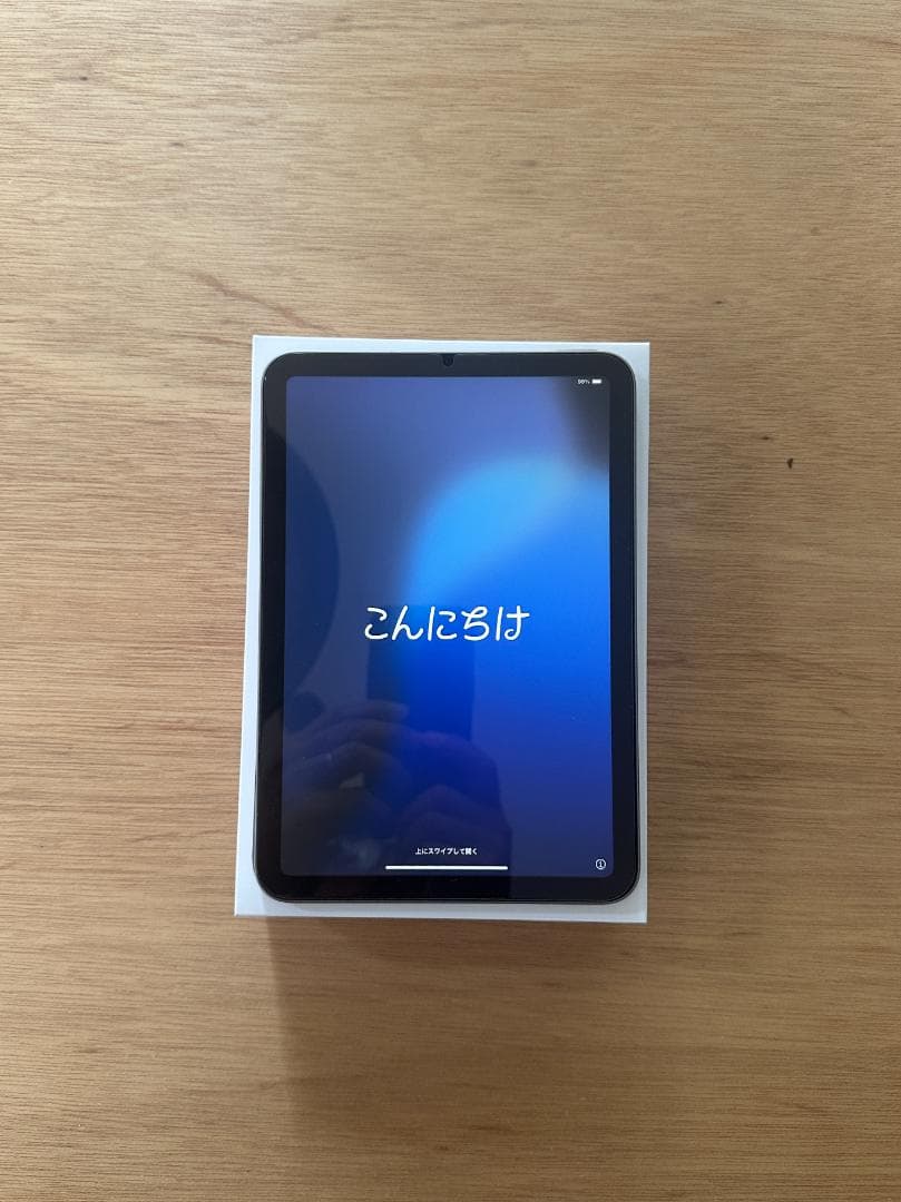 美品 iPad mini A7 PRO 256GB スペースグレイ 保証あり