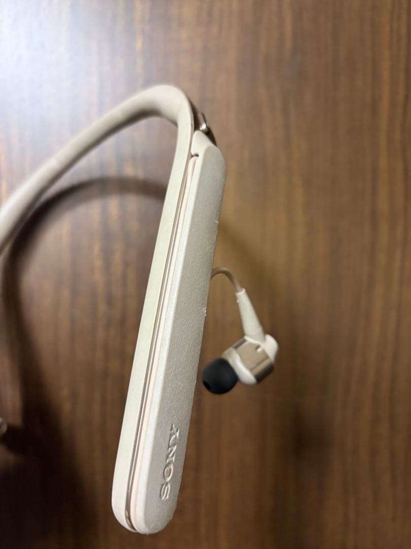 イヤホン WI-1000X