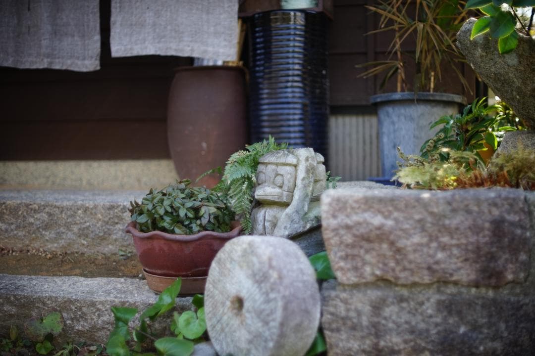 フィルムカメラ Nikon F2S / Nikkor-S Auto 50mm f1.4