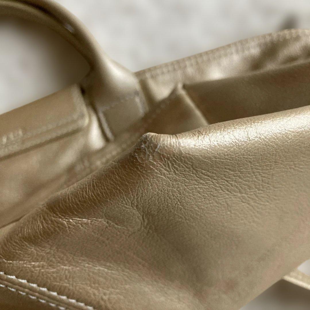 LONGCHAMP ル・プリアージュ　キュイール　 ショルダーバッグ