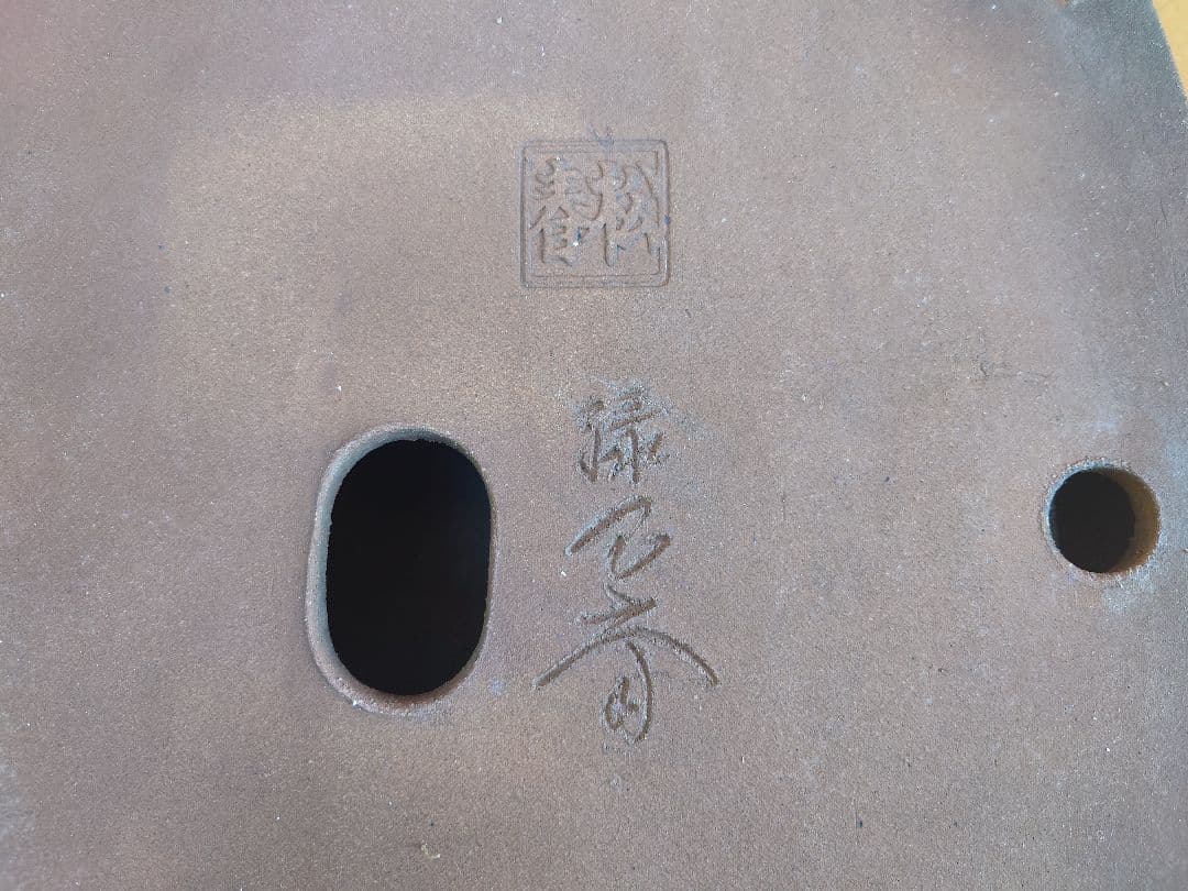 盆栽　鉢　緑巳斉春松　幅47.5cm