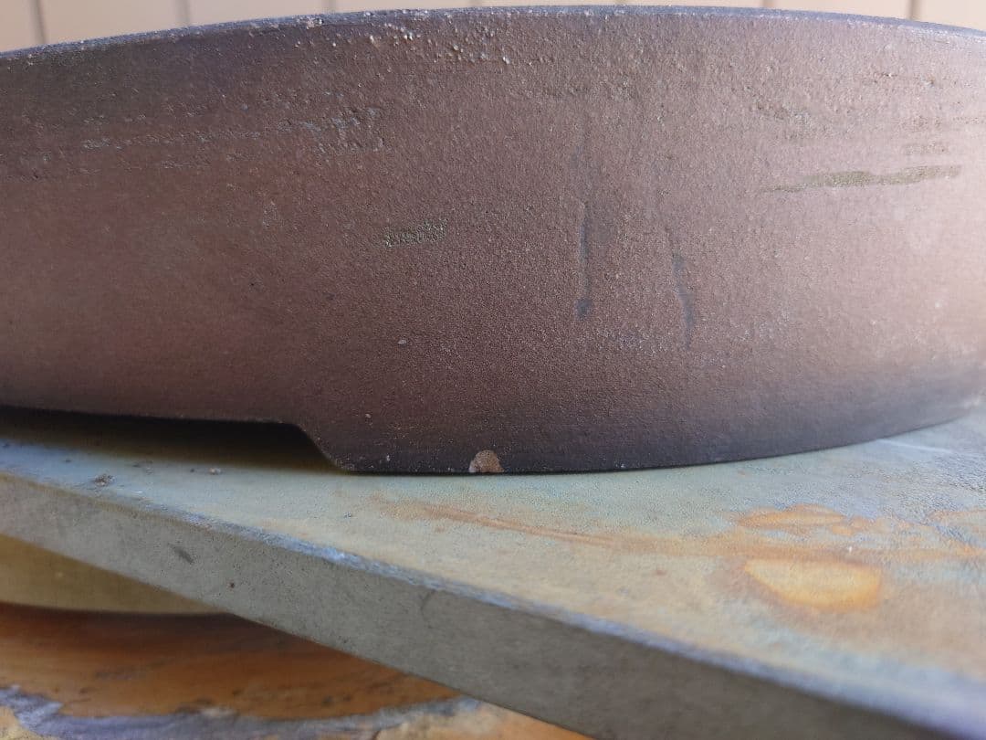 盆栽　鉢　緑巳斉春松　幅47.5cm