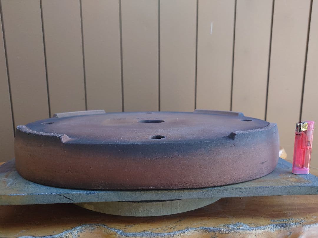 盆栽　鉢　緑巳斉春松　幅47.5cm