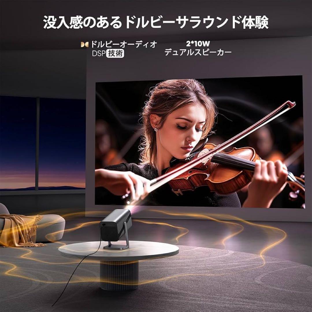 こ*ぁ様 新品　iWIMIUS Model S29 4K対応 超高輝度 750A