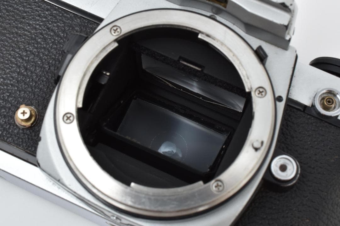 Nikon New FM2 Body ニコン フィルム一眼レフカメラ ボディ
