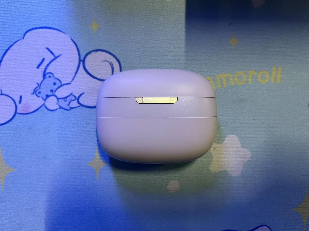 バウワースアンドウィルキンス ワイヤレス インイヤーヘッドホン PI8/DW