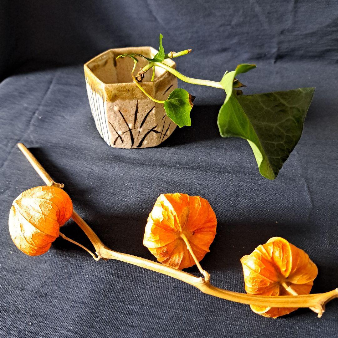 「おしゃれな織部(おりべ)！」 織部焼 六角向付(幅7cm)5客セット 骨董アン