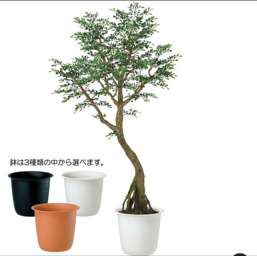 光触媒　人工観葉植物　ウォールグリーン　フェイクグリーン　トネリココアッド鉢付き