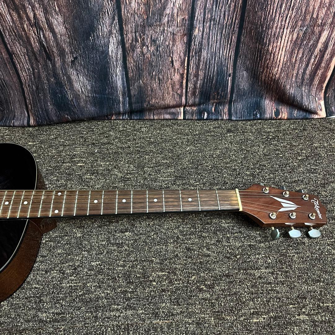 タカミネ アコースティックギター T−F0TBS ソフトケース付き アコギ