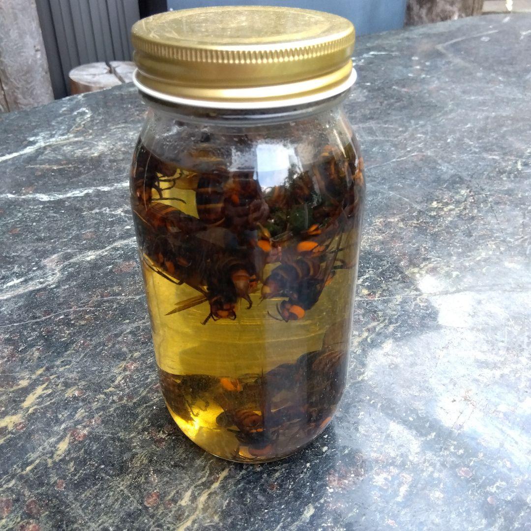 スズメバチトラップ ２個売り