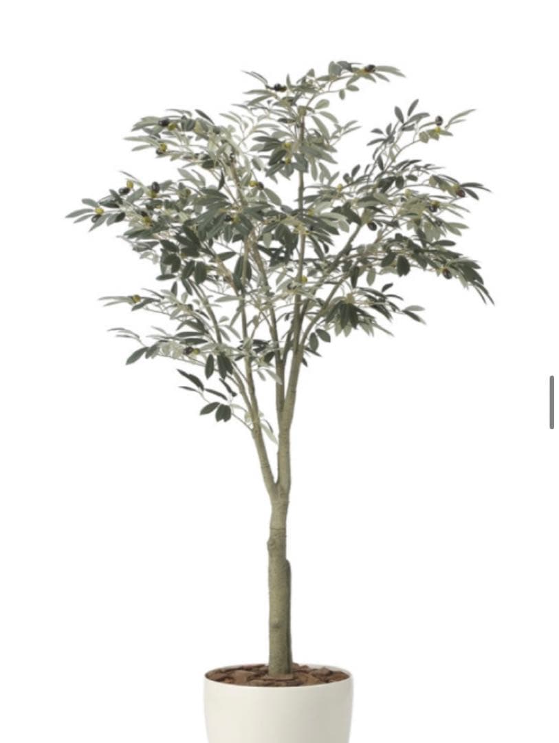 光触媒　人工観葉植物　ウォールグリーン　フェイクグリーン　オリーブツリー1.85