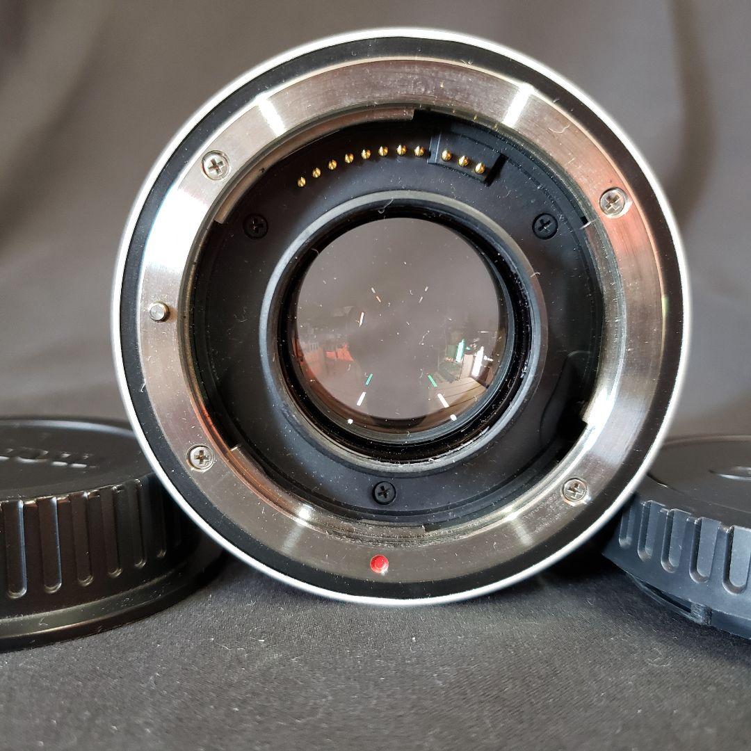 キャノン EF 300mm F2.8L EXTENDER EF 1.4x II