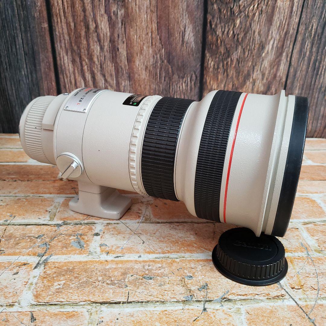 キャノン EF 300mm F2.8L EXTENDER EF 1.4x II