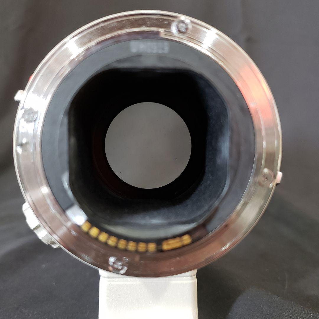 キャノン EF 300mm F2.8L EXTENDER EF 1.4x II