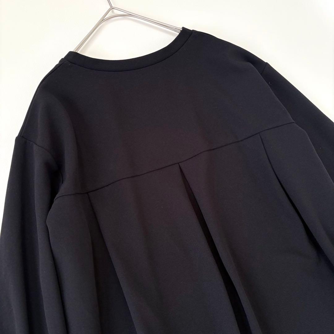 ✨極美品✨BEARDSLEY ビアズリー Tブラウス ブラック FREE