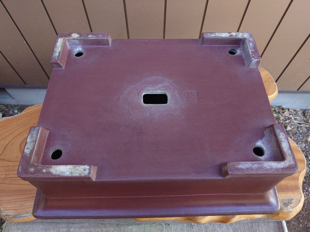 盆栽　鉢　佳山　幅52.3cm