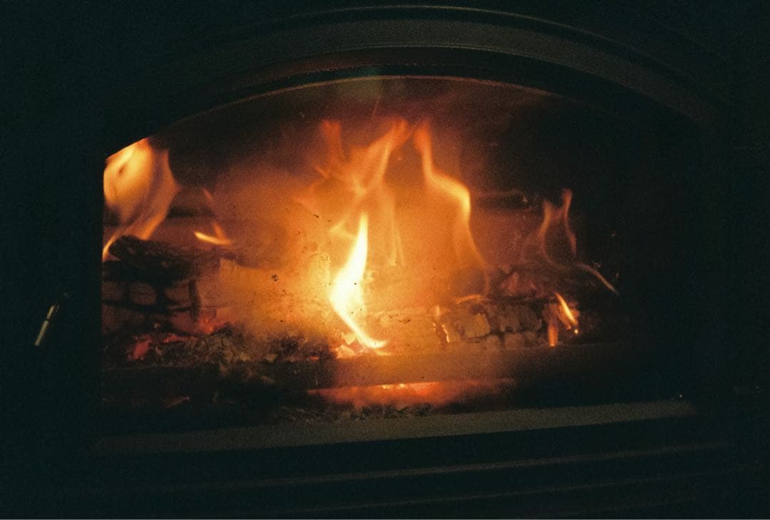 rollei 35 made in germany ドイツ製 作例付き