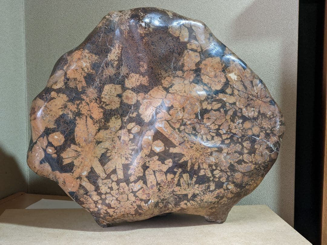 ♦昭和レトロ レア物 岐阜県 根尾谷産 菊花石 鑑賞石 天然記念物 骨董品年代物