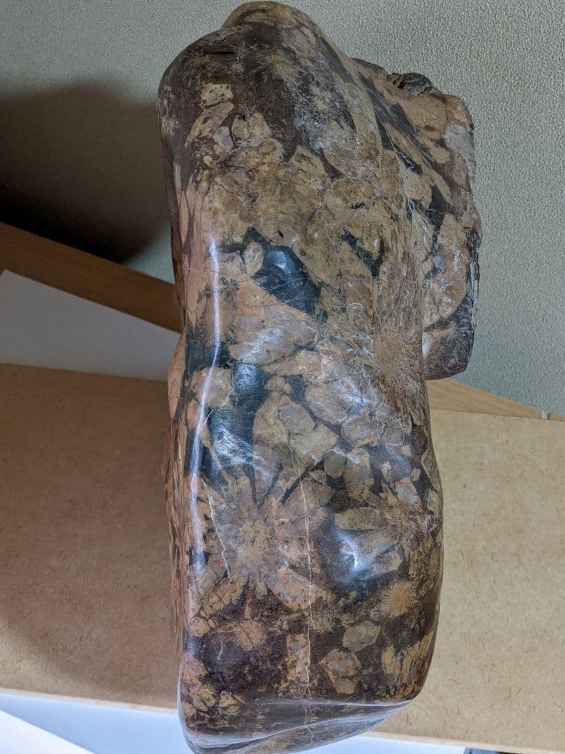 ♦昭和レトロ レア物 岐阜県 根尾谷産 菊花石 鑑賞石 天然記念物 骨董品年代物