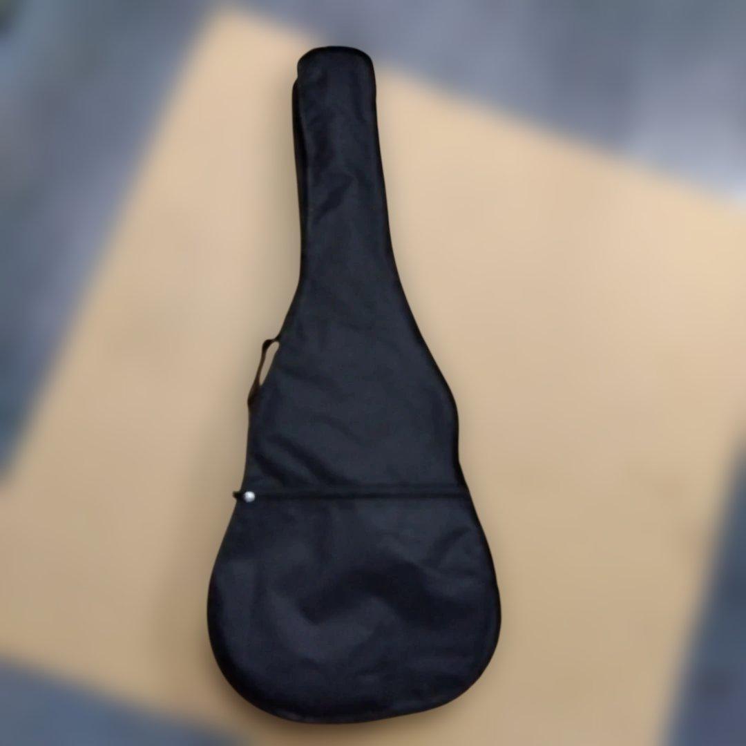 ③HONEY BEE アコースティックギター F-15 SKR ハニービー