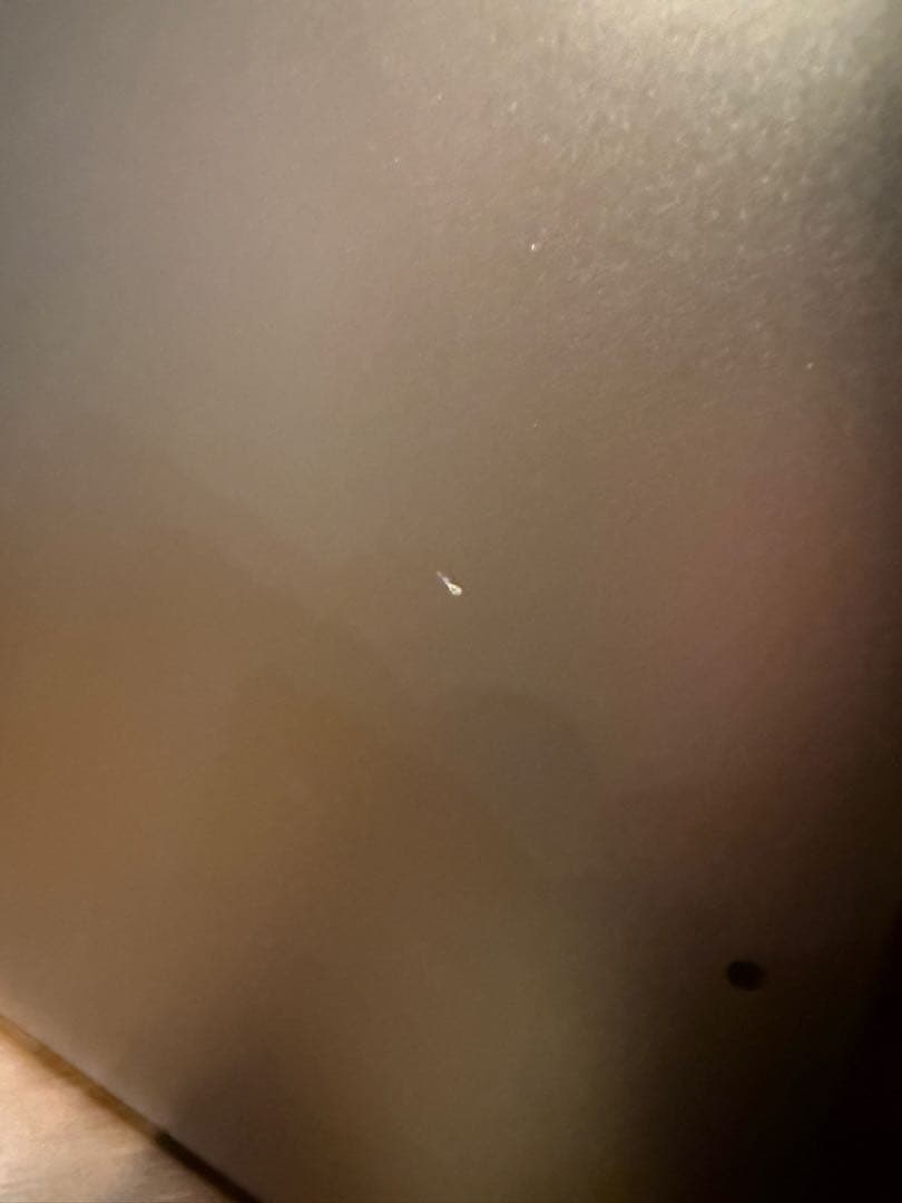 MacBook Pro 2019 13インチ　マジックマウスブラック付