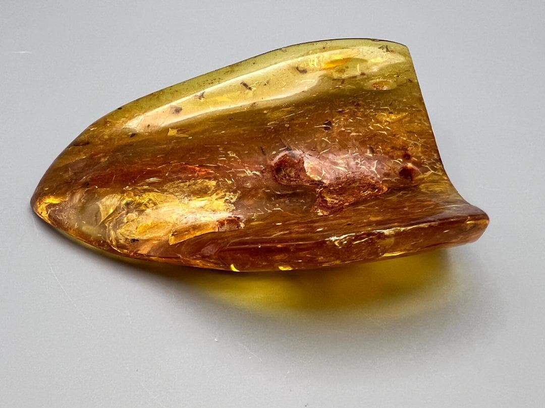 虫入り琥珀　蜘蛛　蚊　多種多様な虫を内包　バルティックアンバー　バルト海沿岸地域