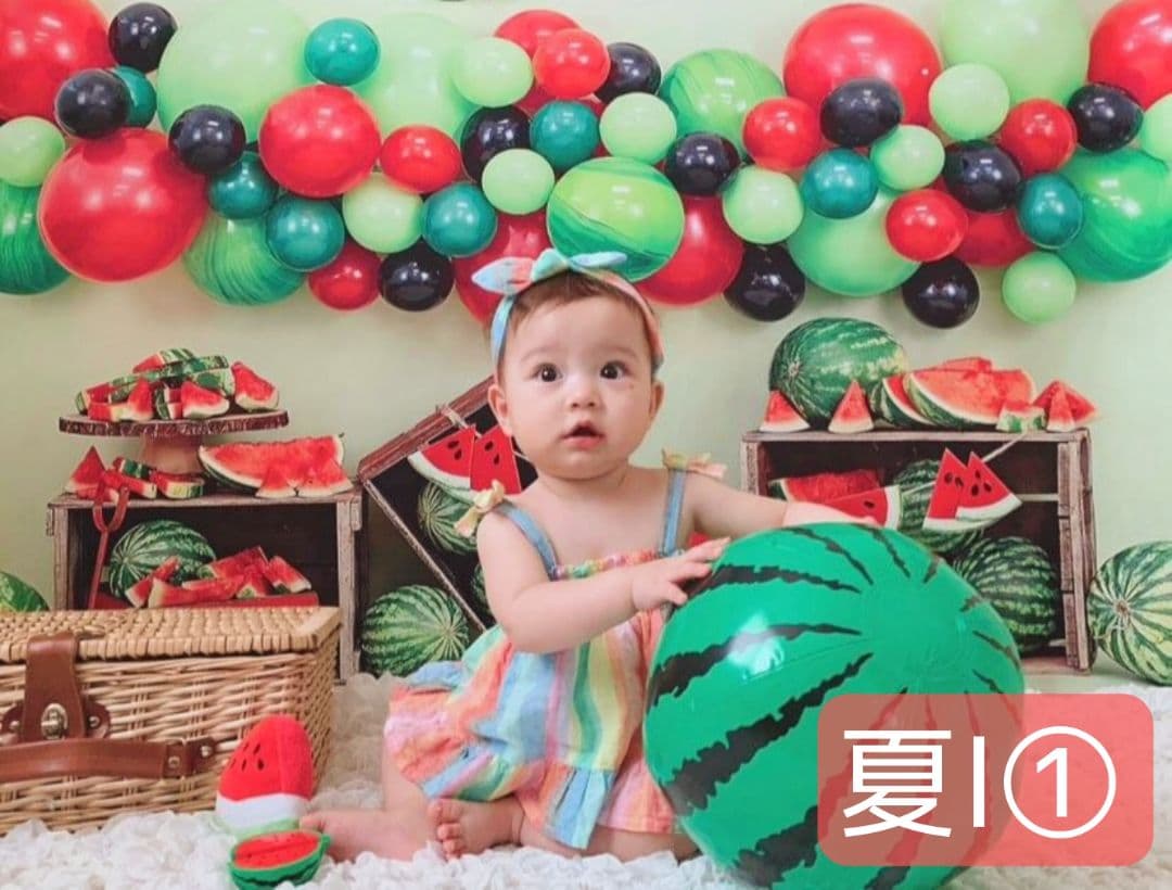 背景布×7+1　ペット撮影用ブース　トリミングチョーカー販売中　　夏　秋　お正月