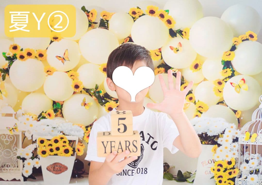 背景布×7+1　ペット撮影用ブース　トリミングチョーカー販売中　　夏　秋　お正月