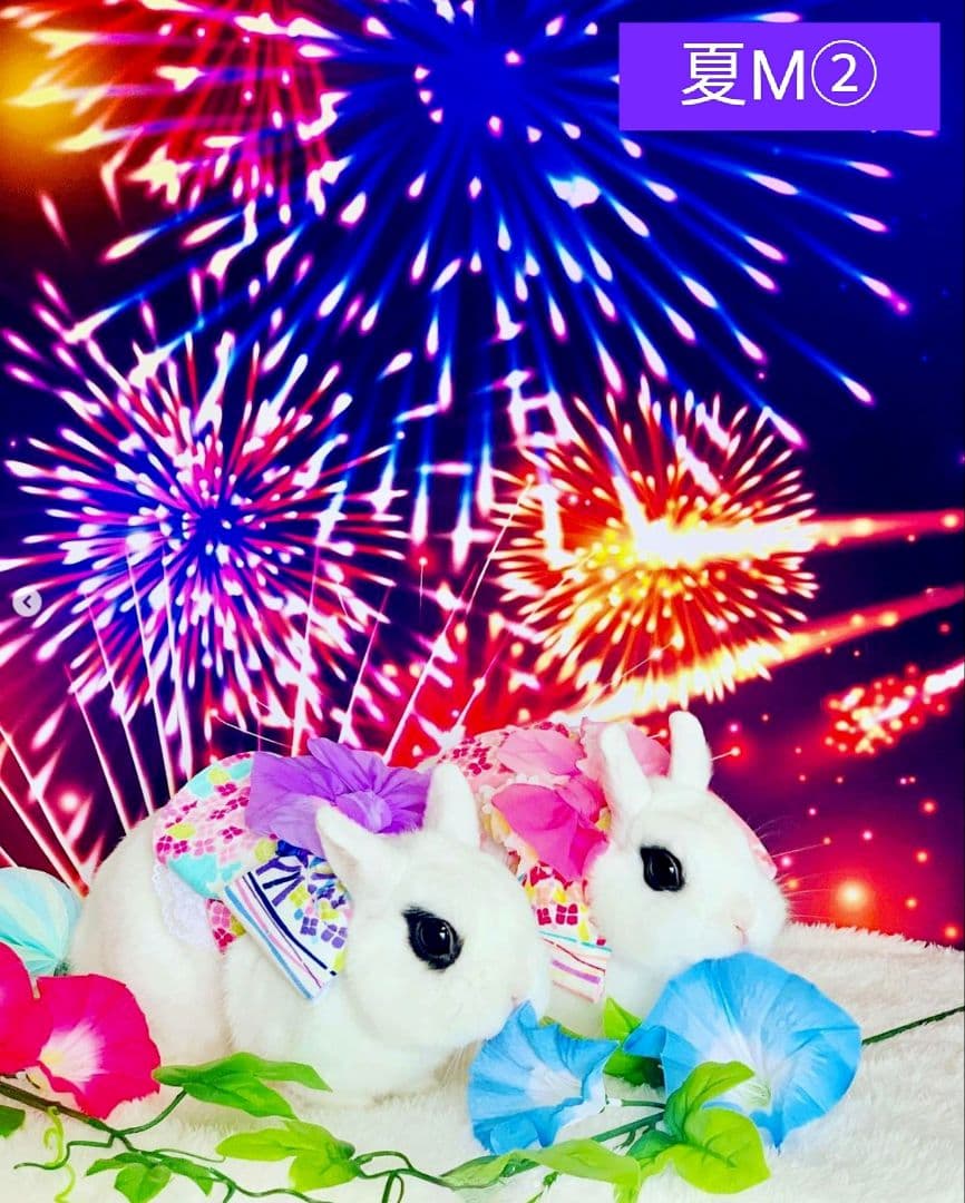 背景布×7+1　ペット撮影用ブース　トリミングチョーカー販売中　　夏　秋　お正月