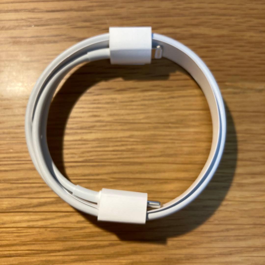 AirPodsPro(第1世代) / MWP22J/A