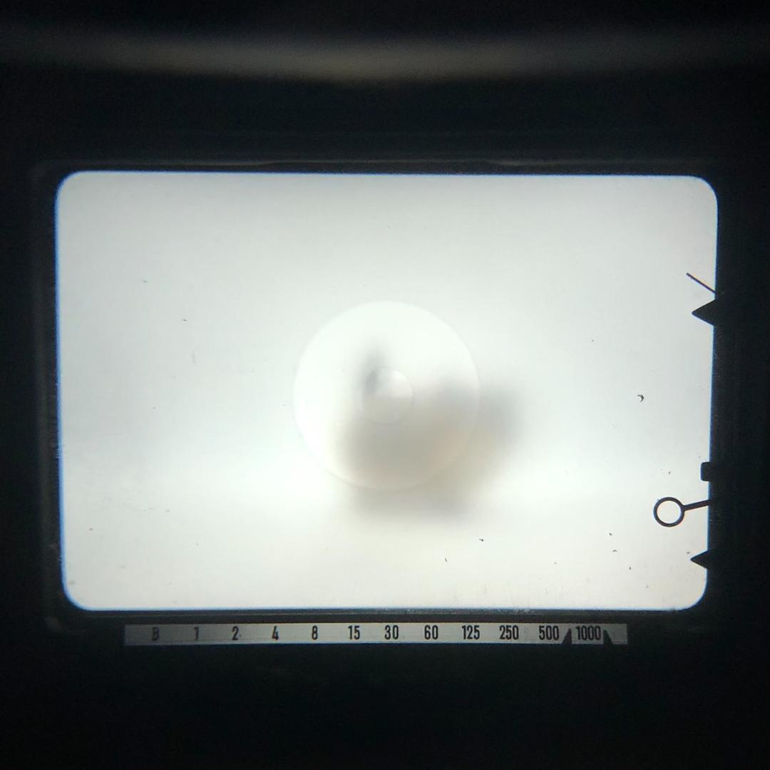 【C6617】SRT101 & MC ROKKOR-PG 50mm F1.4